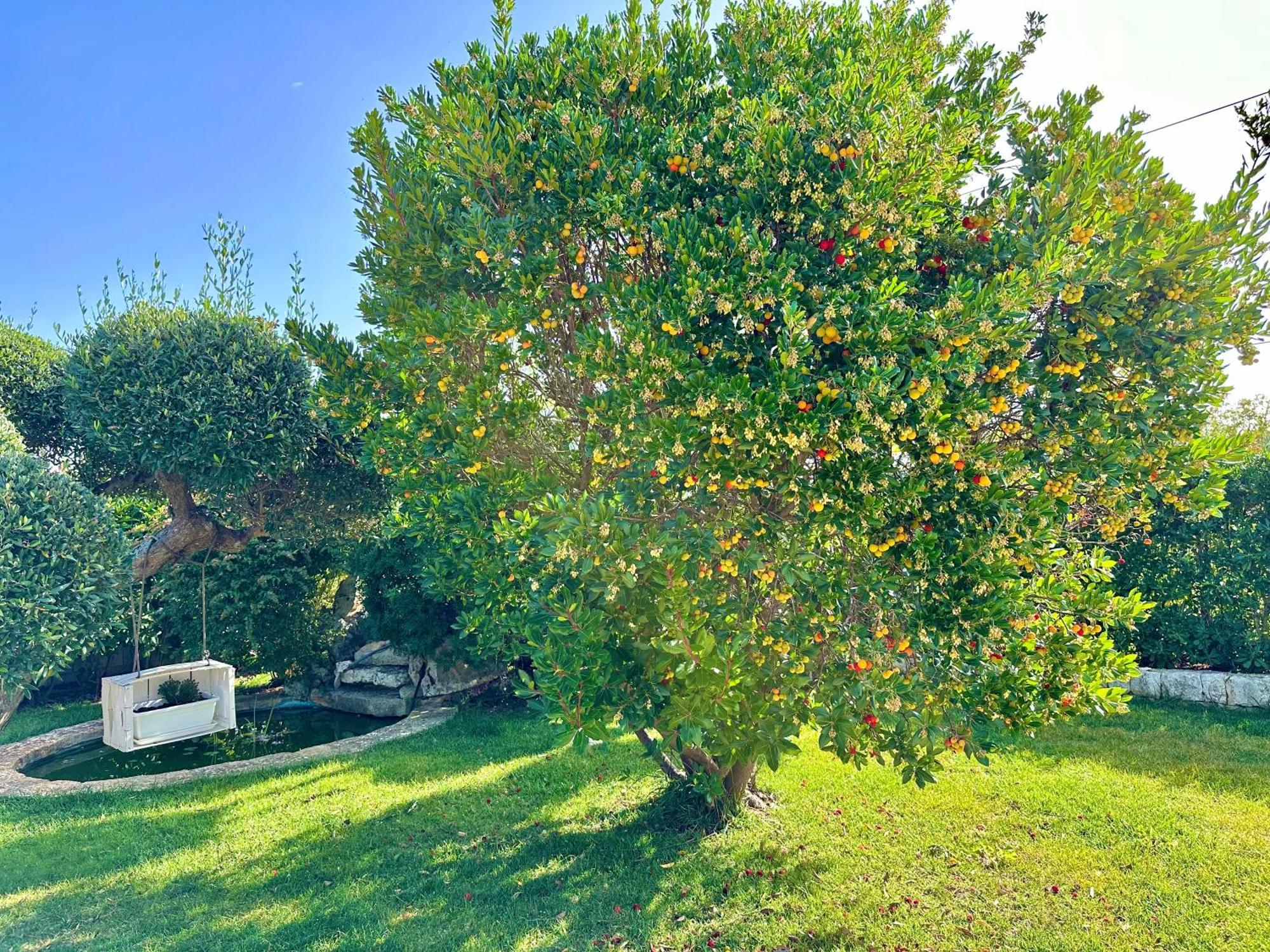 Trulli Fenice Alberobello Bilik gambar